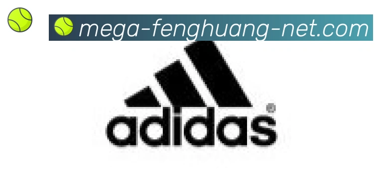 凤凰体育合作伙伴